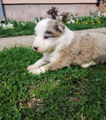 01 viber slika 2024 03 17 14 25 14 903 manja