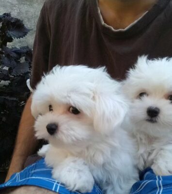 380616504 716945510449294 2243637772979895399 n