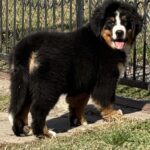 viber slika 2025 11 28 17 54 51 346