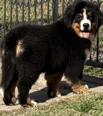 viber slika 2025 11 28 17 54 51 346