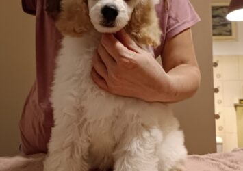 viber slika 2025 11 30 22 14 04 307