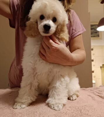 viber slika 2025 11 30 22 14 04 307