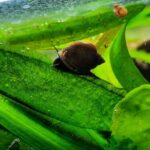 166641703 116994627118205 8496763303773916793 n