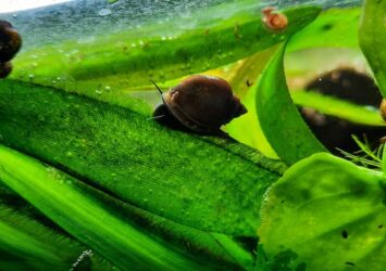 166641703 116994627118205 8496763303773916793 n