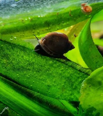 166641703 116994627118205 8496763303773916793 n