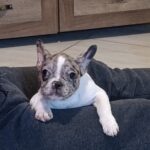 001 viber slika 2026 01 29 09 41 56 712