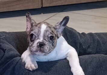 001 viber slika 2026 01 29 09 41 56 712