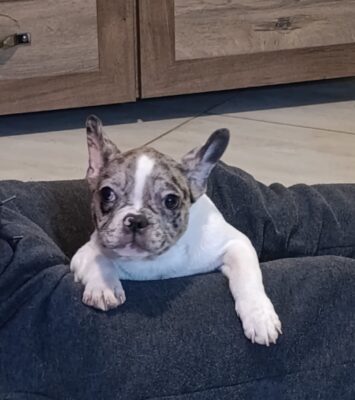 001 viber slika 2026 01 29 09 41 56 712