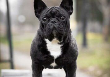 att.76xBST6Pb2hBsYxWX 0zbfFdbqGqExDDaoyU ERC0cU