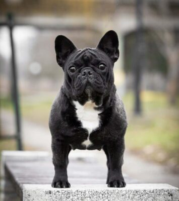 att.76xBST6Pb2hBsYxWX 0zbfFdbqGqExDDaoyU ERC0cU