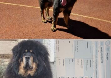 viber slika 2026 02 28 19 33 53 856