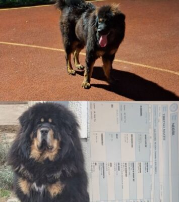 viber slika 2026 02 28 19 33 53 856