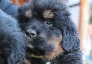 viber slika 2026 03 25 09 57 53 898