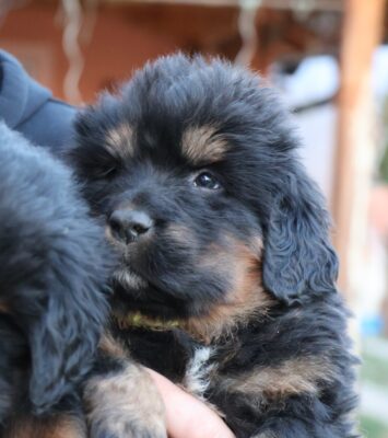 viber slika 2026 03 25 09 57 53 898