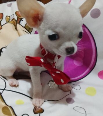 001 viber slika 2026 04 07 12 07 49 064