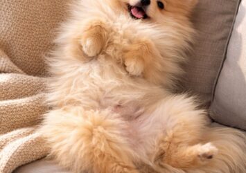 001 viber slika 2026 04 14 12 57 34 075